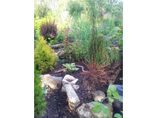 ���� ��������� AlexZ16