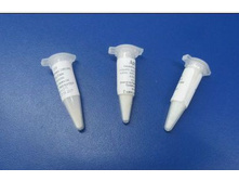 �������� ��� ��������� ������� ���� (Lactococcus lactis subsp. lactis, Lactococcus lactis subsp. cremoris) �� 4 � ������, ������-�������.jpg