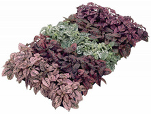 ��������� ������� � ��������. ������� 27,75 ���.[���.��000000379]