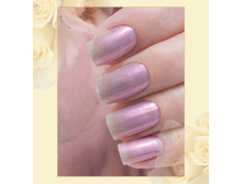 Poly-Chrome 323-60 ���.jpg