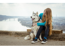 � ������