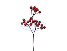 ��005112 ����� � �������� ������� 25 �� (24 ��. � ���) 50�.png