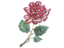 31 1684 ����� (140 ���).jpg