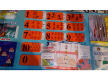 IMG 20161117 042620.jpg