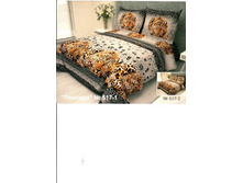 ���� ������� 517 -1.jpg