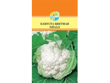 ������� ������� ����� 19.00+%