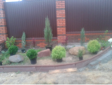 ����-0028 (2).jpg