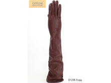 D1206 ����.jpg