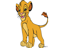 RSN011 %U00AC---.png