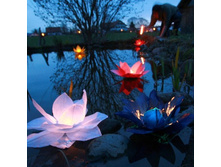 ����-�� ���-����� 30 ���. ����� ����� �������������. ������ 30 �� 30 ��. �� ����� �������� ���. ����� ����������� �� 3 ��.