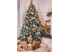 ������� ����� ���