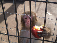 ������� 04042009 51.JPG