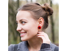 ������-�������� Poppy Flower