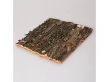 ��������� ���� 10-10 �� 60�.jpg