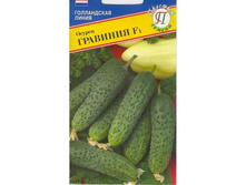 ������ �������� F1 ������� 62,54 ���.