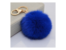 br006 �����