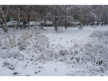 DSC08989.JPG