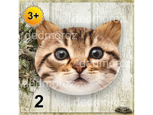 ������ �������� ��� ������ 3+