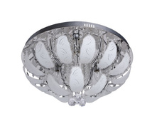 366012409 3900�.jpg