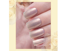 Poly-Chrome 322-60 ���.jpg