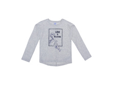 KGW17-93110 svetl-seriy-melanzh.jpg