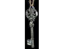 41274 ��������� ����������� ���� 10�� ���������� 100,15.jpg