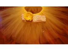 �������� ����, ���������� �������� � ������� ��� ���������� ���������� �������. 600 ���.