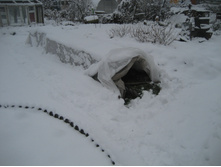 ����������� 038.jpg