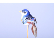 ����� ������ ����� 40 �.jpg