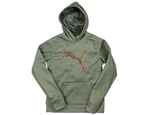 Boys 8-20 PUMA Big Cat Performance Hoodie   $20.00
