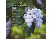 194���. ������ ������������ ������ � �����������.jpg