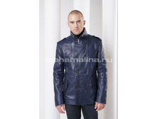 DM-81 ������� �������� � ���������� ������