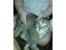 Screenshot 2016-11-13-22-30-33-1.png