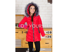 ������ (���. 80309) �����.jpg