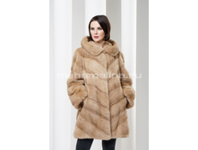 S-195 ���� �����