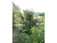 ����������� 006.jpg