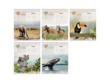 ������� 18�. ������ ��������. Wild world card 8,22.jpg