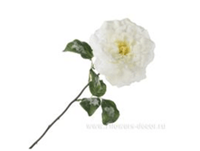 3661864021227 ������ ������������� ����, 56�� ����� 150,65.png