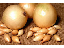 ������ 0,5 ��.jpg