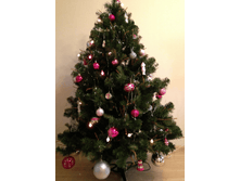 ����� �������1.bmp