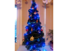 ����� 1,2�