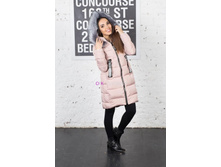 ������ ���.8167, 2000�