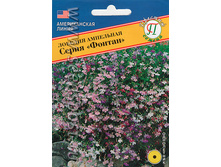 ������� ������ � ������. ����� 11,60 ���.[���.3004012]