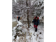 IMG 20161104 143652.jpg