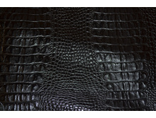 ������ ������.JPG