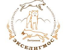 LOGO exeligmos.png