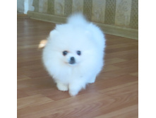 ������� 014.JPG