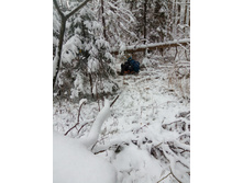 IMG 20161106 120209.jpg