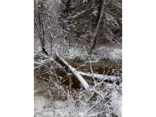 IMG 20161104 123635.jpg