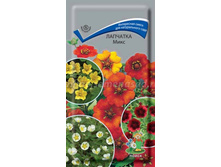 �������� ����13,75� 6��